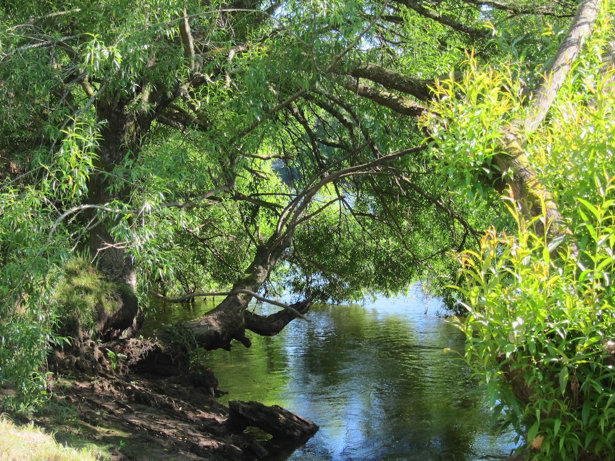 On The River Tamahere Экстерьер фото